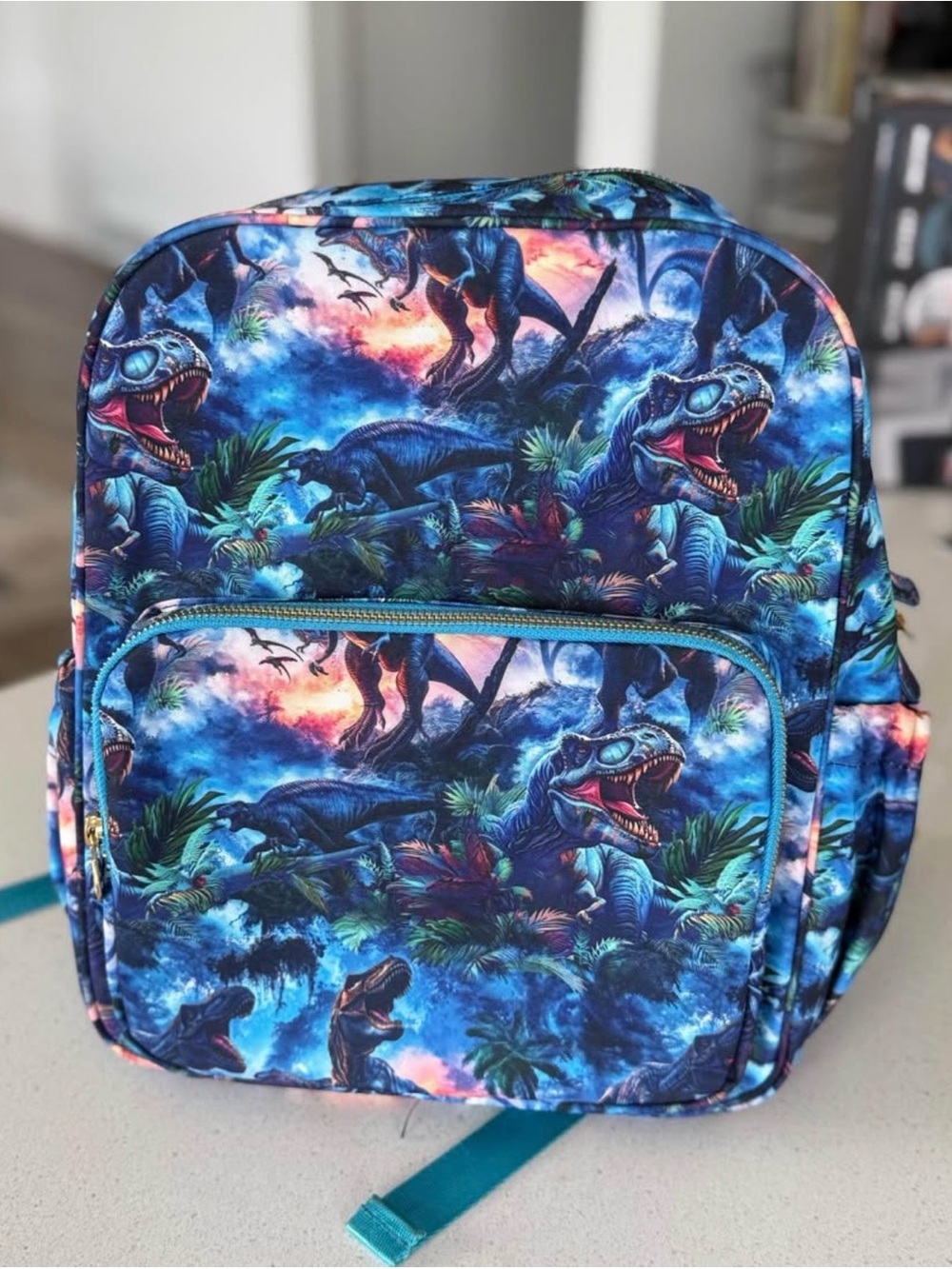 Kids Blue Multi Dinosaur Backpack with Front Pocket